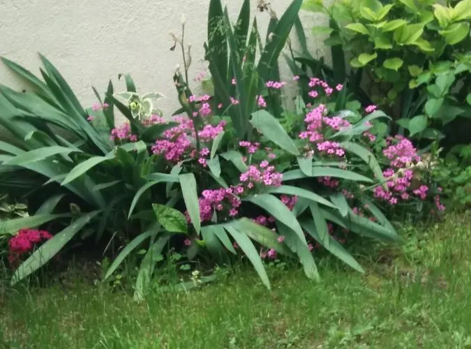 Gæstehus а. б. в. Nessebar